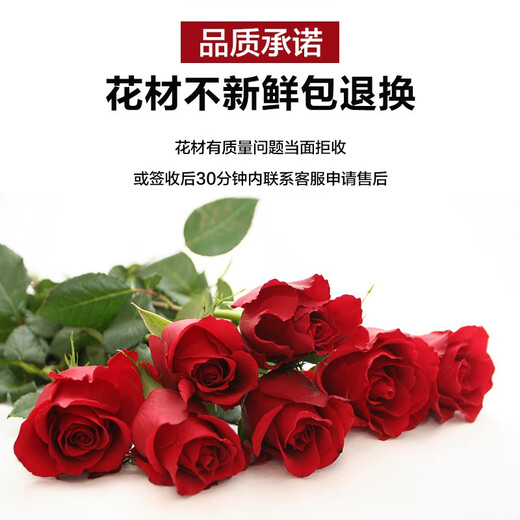 Romantic season flower express delivery in the same city. Red rose bouquet to express love to girlfriend, birthday gift, wedding anniversary, national flower shop. 19 red roses + 6 pink lilies. Delivery today - flower delivery time can be made by appointment.