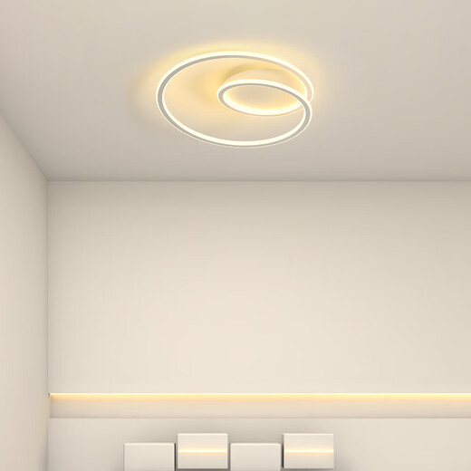 微伙卧室灯现代简约大气吸顶灯家用温馨书房间灯创意个性广东中山灯具 白色直径40CM-白光-76w