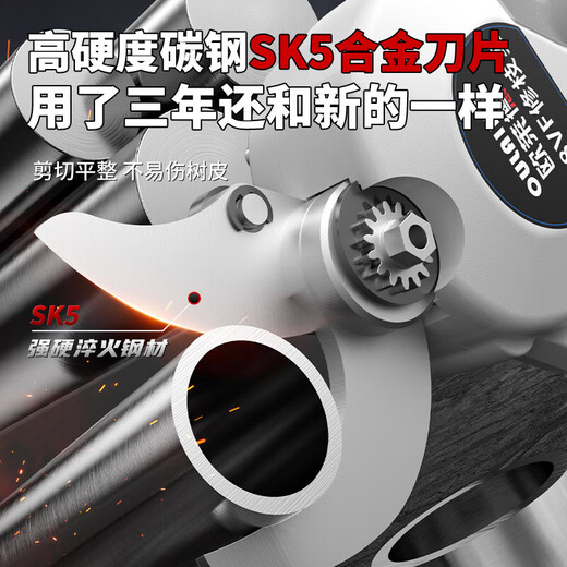 欧莱德（OULAIDE）无刷688Vf新款园艺锂电充电式电动剪刀剪树枝园林粗枝剪电动农具 旗舰款无刷两电一充（可剪4.0CM） 电动剪刀