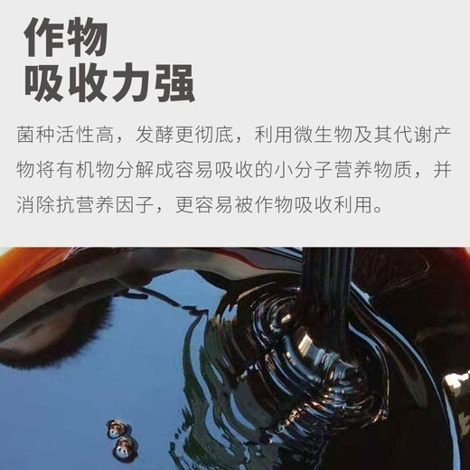 启明生物化渣宝花生麸水肥发酵剂生物菌剂肥菜籽油枯农用腐熟菌剂 1kg/包 1包