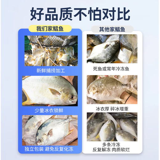Selling Fish Qilang Domestic frozen golden pomfret 3 pieces net weight 2.7Jin Jin is equal to 0.5kg, extra large marine fish, fresh fish, seafood and aquatic products