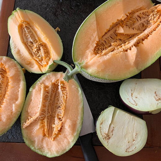 Zhongke Maohua Melon Fruit Seeds Weilong No. 25 Thick-skinned Melon Seeds Netted Hami Melon Seeds Cantaloupe Can Hang and Climb Weilong 25 Hami Melon Seeds - 20 capsules