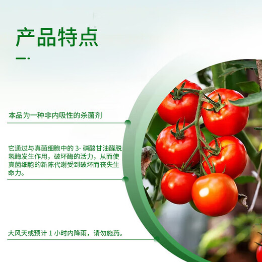 Syngenta Haodisch 75% chlorothalonil vegetable and flower early blight leaf spot downy mildew pesticide fungicide 1KG*1 bag