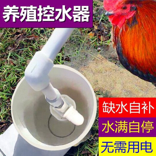 旭杉斯新款鸡鸭鹅家禽自动饮水器喂水器鸭子喝水饮水槽牛羊养殖设备用品 第三代一寸(32mm)侧进水