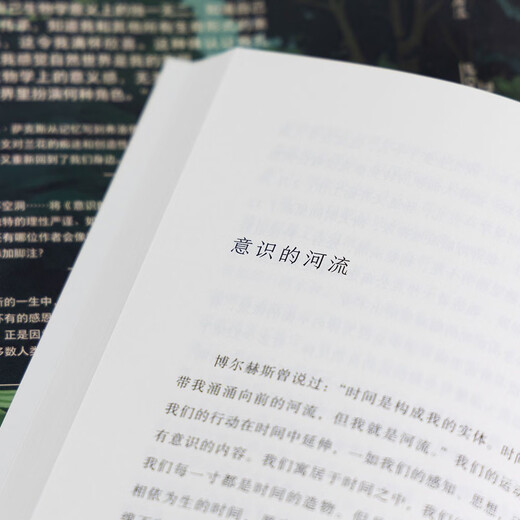 意识的河流 The River of Consciousness