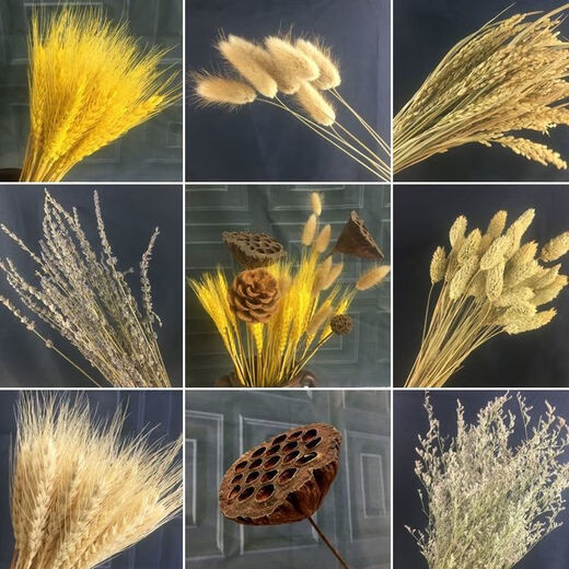 AIMAN natural wheat ears dried flower bouquet for new store opening barley gift living room pastoral decoration photography props lavender bouquet