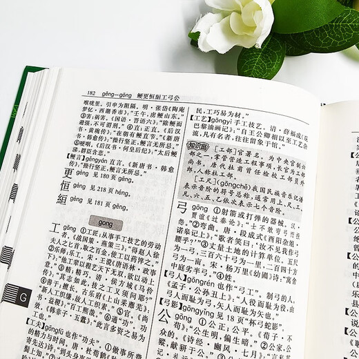 古代汉语词典（学生专版）