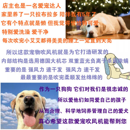 Mila Meow Pet Hair Dryer Large and Small Power Cats Teddy Golden Retriever Dogs Large and Small Dogs Special Pet Shop Water Dryer Flagship Version High Power Blu-ray Suitable for Medium and Large