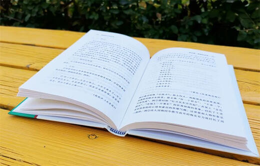 Rhetoric Knowledge and Application 2021 Latest Edition Writing Learning Knowledge Application Chinese Learning Grammar Learning