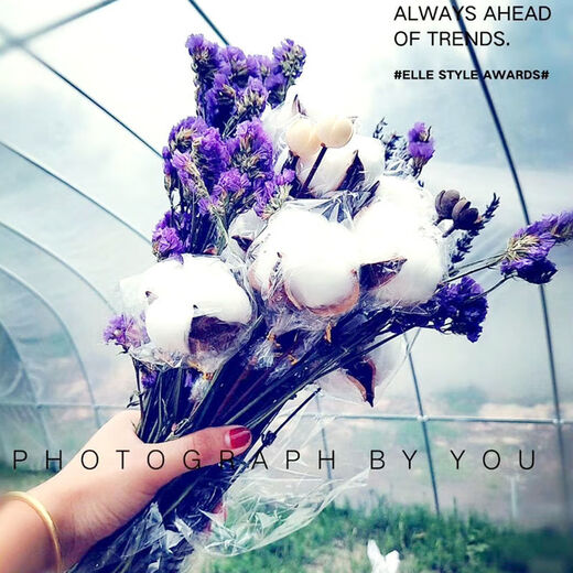 AIMAN natural wheat ears dried flower bouquet for new store opening barley gift living room pastoral decoration photography props lavender bouquet