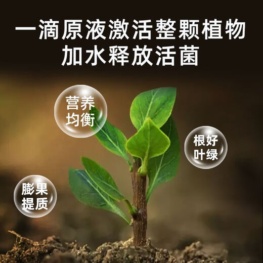 Plant growth balance liquid 0.3 amino acid water-soluble fertilizer fruit leaf surface fertilizer flowers and vegetables general compound fertilizer plant growth balance liquid 200ml*1 bottle