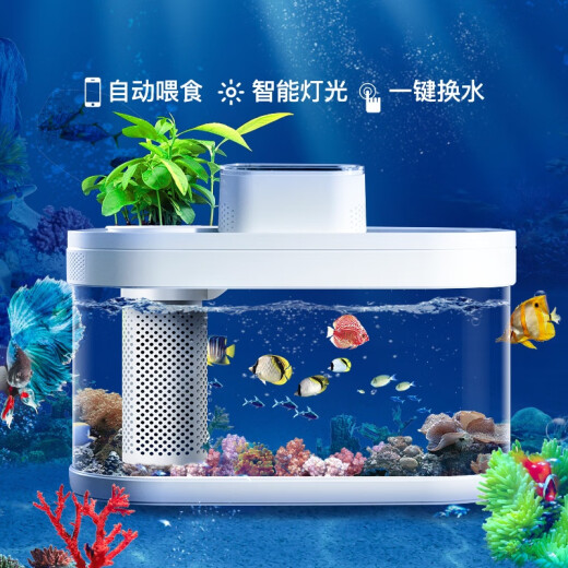 Drawing geometry APP smart fish tank wifi remote control desktop amphibious ecological lazy goldfish tank automatic feeding living room aquarium Pro version (fish tank + WiFi + feeder)