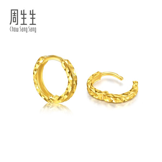 Chow Sang Sang Modern Small Circle Gold Stud Earrings Yong Series Pure Gold Crushed Ice Earrings Pair 95310E Pricing