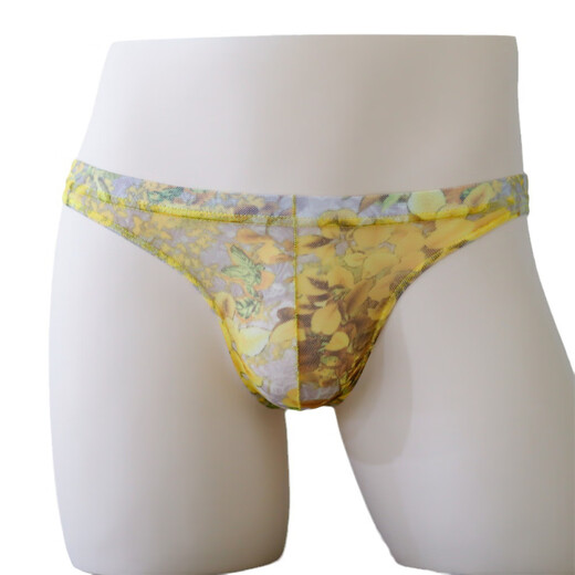 Xinhuang Mesh Sexy Printed Bag Panties Men's Transparent Breathable Ultra-Thin Thong Men's Mid-Low Waist Comfortable Yellow L
