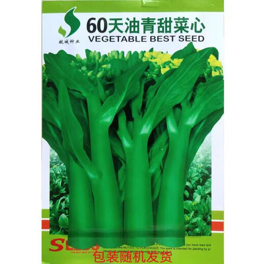 60-day oily green beetroot seeds, early maturing and high temperature resistant, spring and autumn four-season super beet moss seeds, farm vegetable seeds, 60-day oily green beetroot seeds, original factory packaging of 3 packs