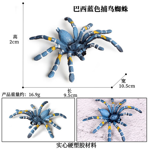 Bambus- und Steinsimulation Insektenpuppenmodell Grashopper One-Horned Fairy Scarab Spider Scorpion Children Kognitive Ornament Spielzeug M-683 Brasilianer Blue Bird-Catching Spinne
