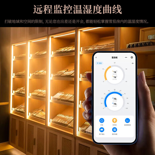 Cigaron cigar room imported Spanish cedar wood pure ammonia remote monitoring security fingerprint password lock can be repeatedly disassembled and installed professional compressor removable cigar room CA-24H double cigar room