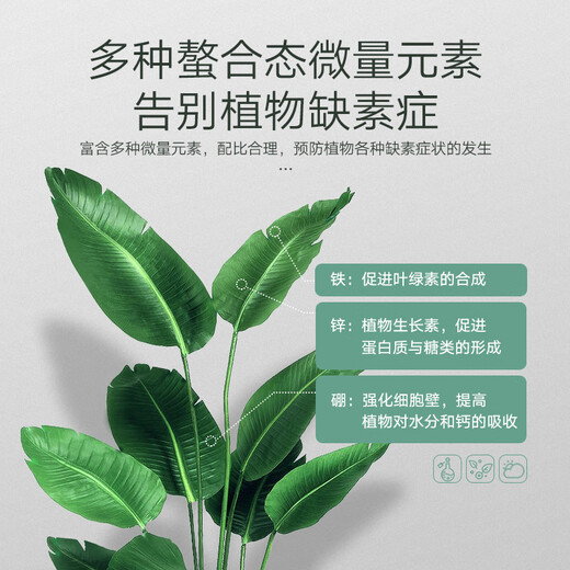 STANLEY macroelement water-soluble fertilizer for flowers, high nitrogen, phosphorus and potassium nitrogen fertilizer, phosphate fertilizer and potassium fertilizer, general compound fertilizer 2.5KG