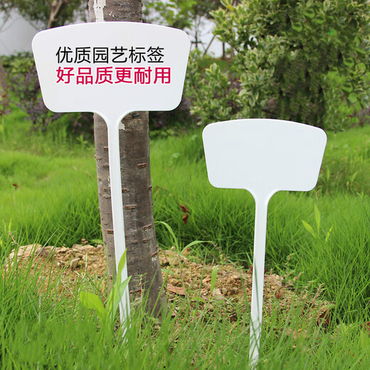 Yong Huan surface gardening ground sign writing plant label experimental plug sign succulent label identification sign ground plug card 50 medium size 36cm red