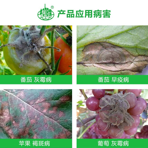 Fumei Shipuhein 50% Idiprodione Fungicide for Tomato Fruit Tree Grape Botrytis Botrytis Spotted Leaf Fall Early Blight 100mL