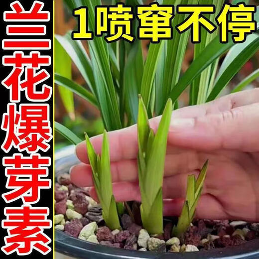 Orchid multi-flare orchid special lazy nutrient solution to promote flowering, delay flowering period and treat yellow leaves, general-purpose liquid fertilizer for orchid multi-flare 300ML*2 bottles