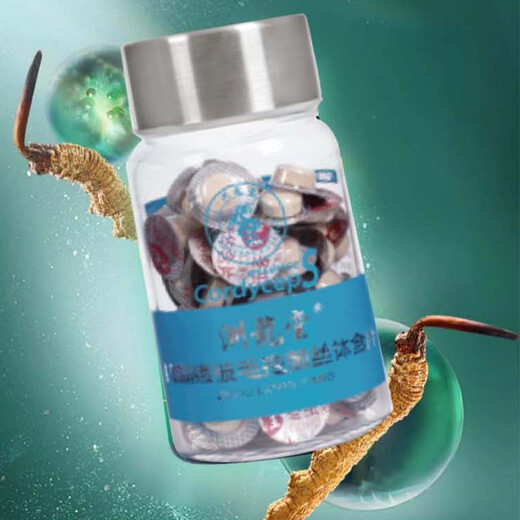 洲龙堂冬虫夏草纯粉含片滋补礼盒鲜虫草营养品补品保健品滋补佳品 冬虫夏草含片 36片礼盒装