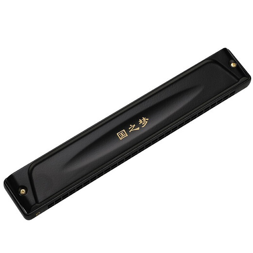 Guoguang Harmonica Japan Import Gong 28 Hole Professional Professional Professional Level High-классная полифоническая полифоническая C-ключа средних лет и пожилые люди 24 Вводной инструмент Harmonica Harmonica Harmonica [Уровень производительности] 24-луночный полифонический F-ключ Matte Black + подарок.