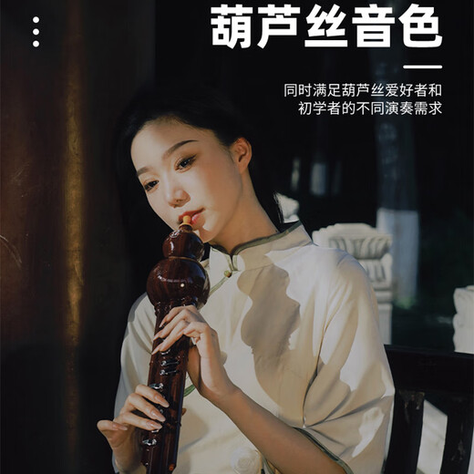 Instrumentos musicales domésticos de seda eléctrica de la rima de China