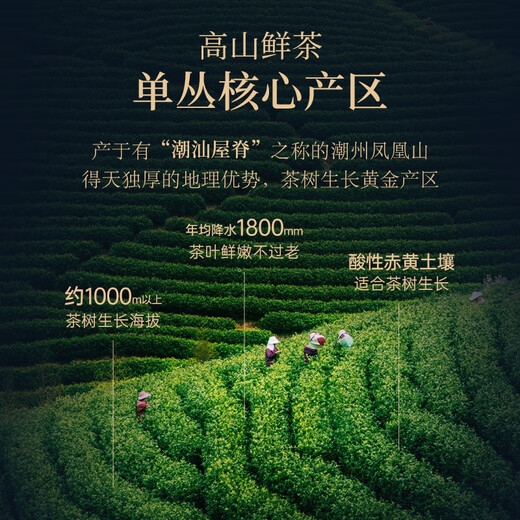 Huaxiangyuan Oolong Tee Vip Tee Chaoshan Phoenix Dantong Duck Scheiße Xiang Special 200g Light Fire Tea Geschenkbox Geschenk