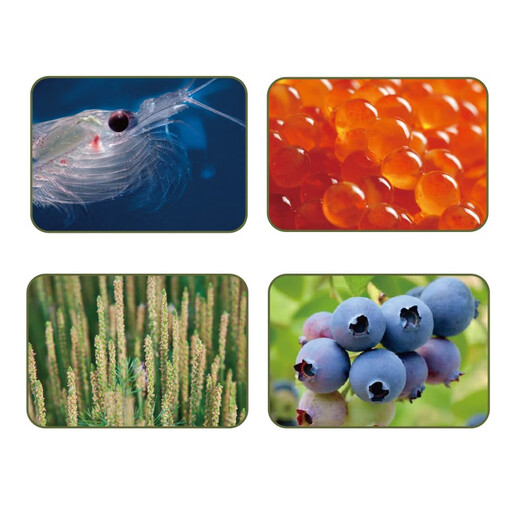 畅享优品（cheershare ）挑嘴猫粮幼猫成猫营养护泌尿全期天然粮1.5kg 1.5kg