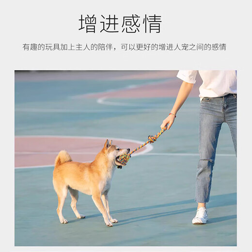 Gasgoo dog toy puppy rope bite-resistant molar rope ball puppy Teddy Border Collie Golden Retriever interactive tug-of-war 5-piece set