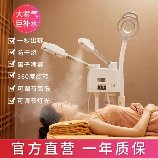 Vaporizador en spray frío y caliente, vaporizador facial, luz de agua facial, spray nanométrico de molécula pequeña, poros hidratantes faciales, especial para salones de belleza, spray frío y caliente de doble tubo + lámpara de aumento 8x + luz ajustable