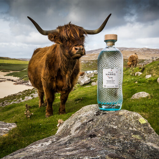 Isle of Harris British National Pavilion Original importé Harris Island Style Sugar Kelp Gin Gin Foreign Liquor Hailings Gin 700 ml 1 bouteille