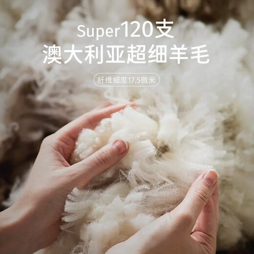 格罗尼雅（GORNIA）男士蓝色羊毛羊绒单西服商务通勤简约经典舒适时尚绅士西装外套男 蓝色 170B
