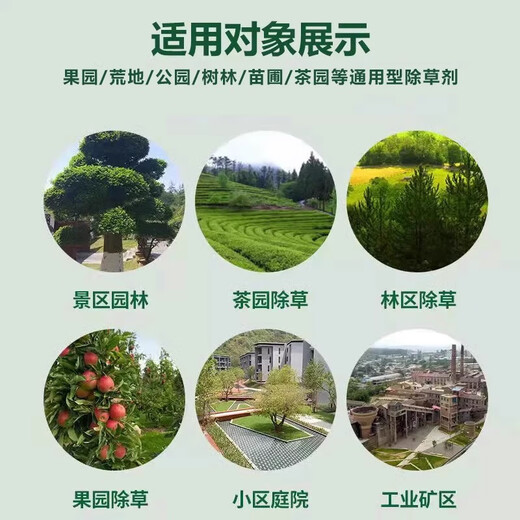 95% glyphosate herbicide orchard wasteland cow tendon grass setaria reed removal of rotten roots and dead root pesticide 95% high content glyphosate, removal of weeds and roots 80g 1 set