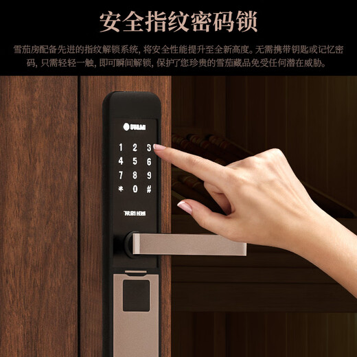 Cigaron cigar room imported Spanish cedar wood pure ammonia remote monitoring security fingerprint password lock can be repeatedly disassembled and installed professional compressor removable cigar room CA-24H double cigar room