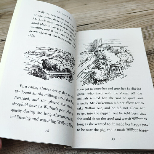 Wählen Sie 5 Artikel für 99 Yuan. Originale englische Romane, Harry Potter, herzzerreißender Wunderjunge, Charlottes Netz, 1984, Tierfarm, Höhle, der Drachenläufer, der kleine Prinz, kleine Frau, Jane Eyre Group, Kauf von Charlottes Netz