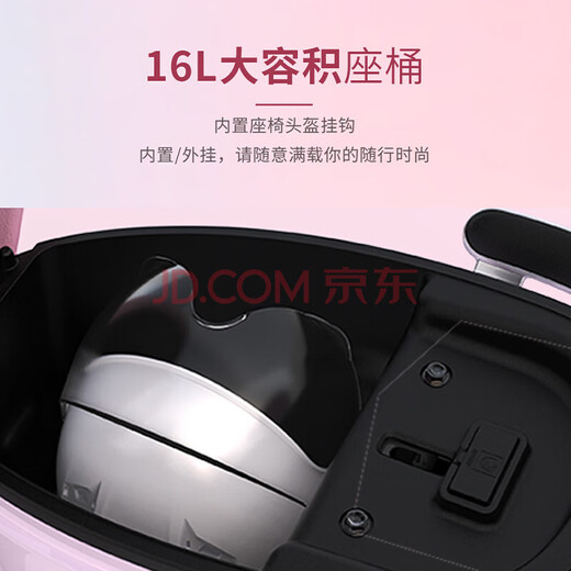 AIMA Luna 2025 version long-range electric car for women, fashionable adult mobility smart electric moped Luna/Youyue Dudu Pink Petal Hub + 1000W Motor