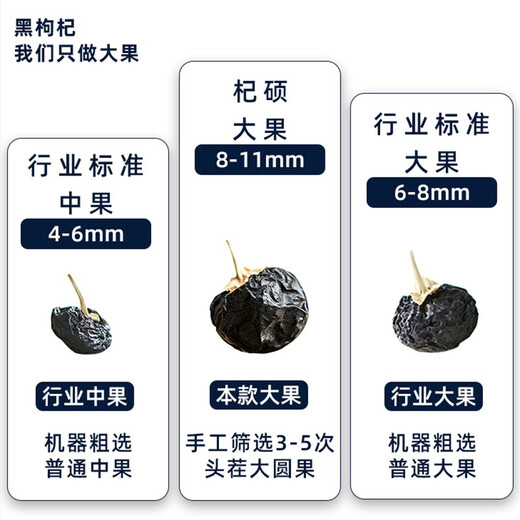 Qishuo Black wolfberry Qinghai big fruit gourd Gou Qi hand-selected quality canned holiday gifts Selected large fruit black wolfberry (250g*2 cans)