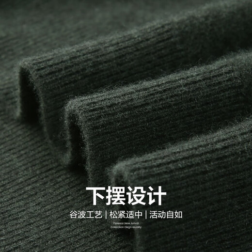 Shanshan (FIRS) 10% cashmere V-neck wool men's autumn new business solid color high-end knitted cadre sweater 674 dark green M (170)