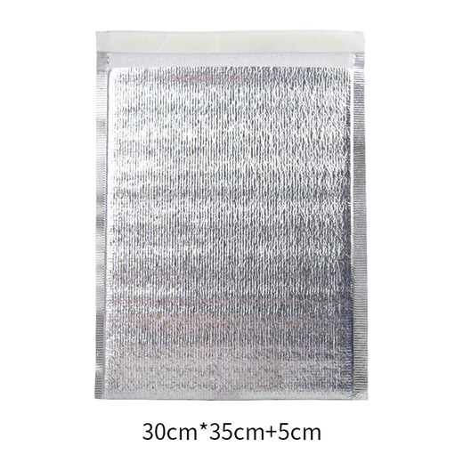 Bailing Baili Insulated Bags Thick Aluminum Foil Pack of 10 Outdoor Food Seafood Refrigerated Ice Bags Medium Size
