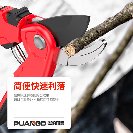 Prund pruning scissors, fruit tree scissors, gardening scissors, potting scissors, flower tools, garden green plant scissors, floral manual scissors, 8-inch SK5 steel pruning shears, non-slip handle