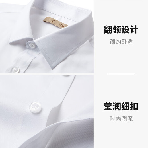 Talented men's shirt cotton breathable 25 spring and summer business white shirt short-sleeved professional top multi-color formal solid color