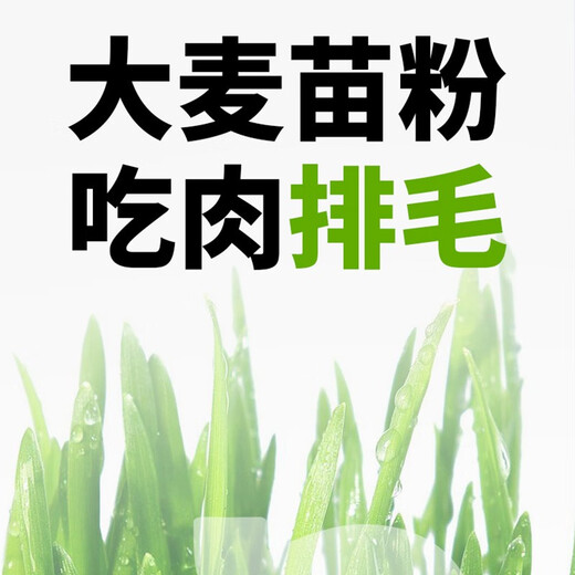 Luce Pet Cat Liquid Cat Snacks Wet Food Cat Bars Nutritional Supplement Pet Food for Adult Cats and Kittens Mixed Flavors (12g*6)