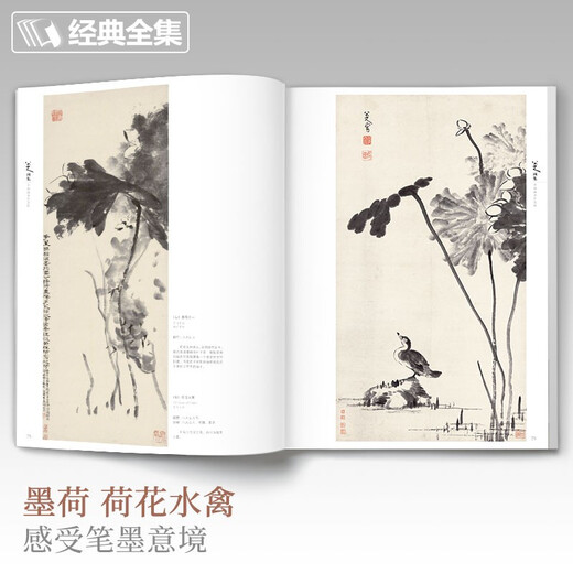 Complete collection of classics, Bada Shanren painting collection, 8-page Chinese painting copy album, freehand ink and wash traditional Chinese painting, landscape, flowers, birds, fish and insect techniques textbook, high-definition album, appreciation of Zhu Da’s flower and bird masterpieces, edited by Yang Jianfei