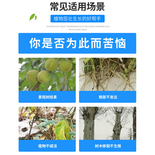 Senhuo Haobili 5% naphthalene acetic acid rooting agent garden tree transplanting watering rooting liquid camphor ligustrum seed control results