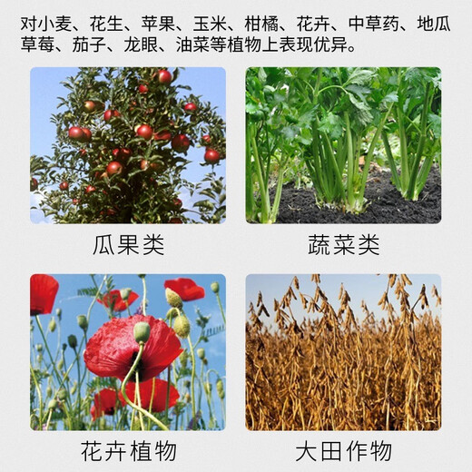 28 table high brassinolide plant growth regulator rooting and seedling foliar fertilizer vegetable flower and fruit preserving pesticide 100g