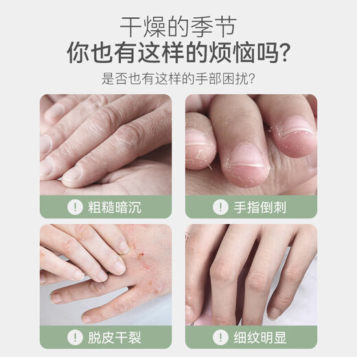 TWG Chamomile Hand Cream 80g*4 Pack Moisturizing Hand Mask for Dry and Rough Hands Daisy Gift