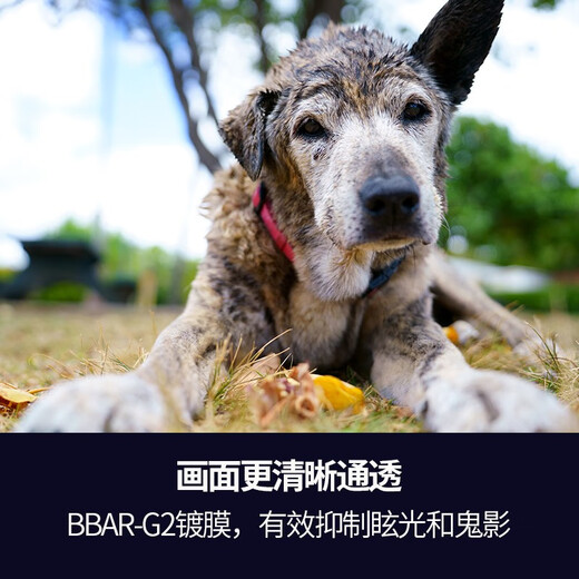 Tamron flagship store A063 28-75mm F2.8 G2 Tamron 28-75 second generation E-mount full-frame mirrorless zoom live video lens large aperture Tamron 2875mm second generation Sony E-mount official standard package comes with Tamron UV filter + 64G high-speed card + cleaning set