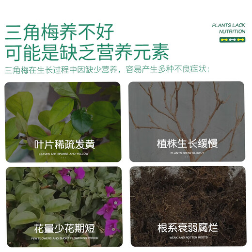 Stanley Bougainvillea flower special flower fertilizer nutrient solution household potted flower plant flowering fertilizer 500ml